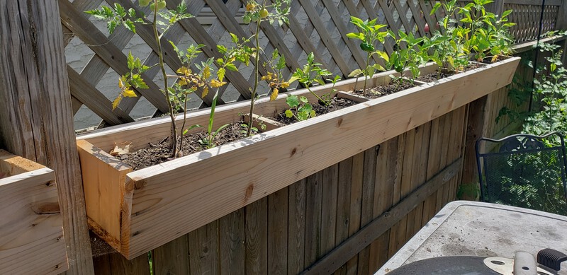 Cedar Fence Planters