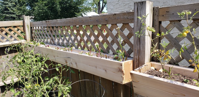 Cedar Fence Planters