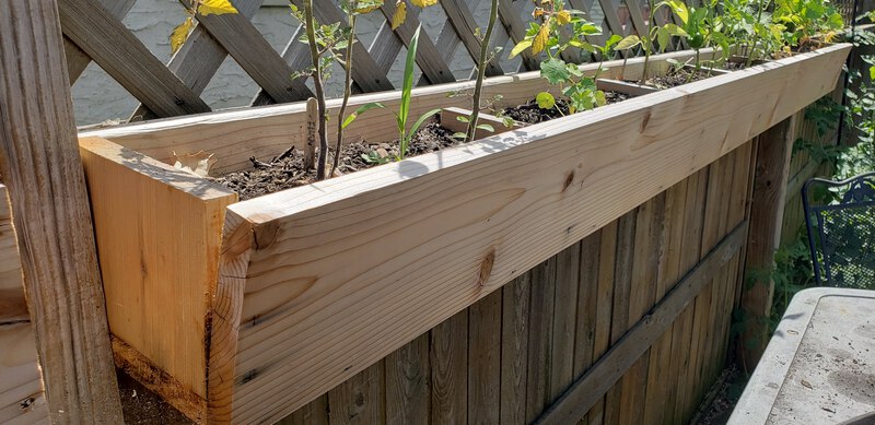 Cedar Fence Planters