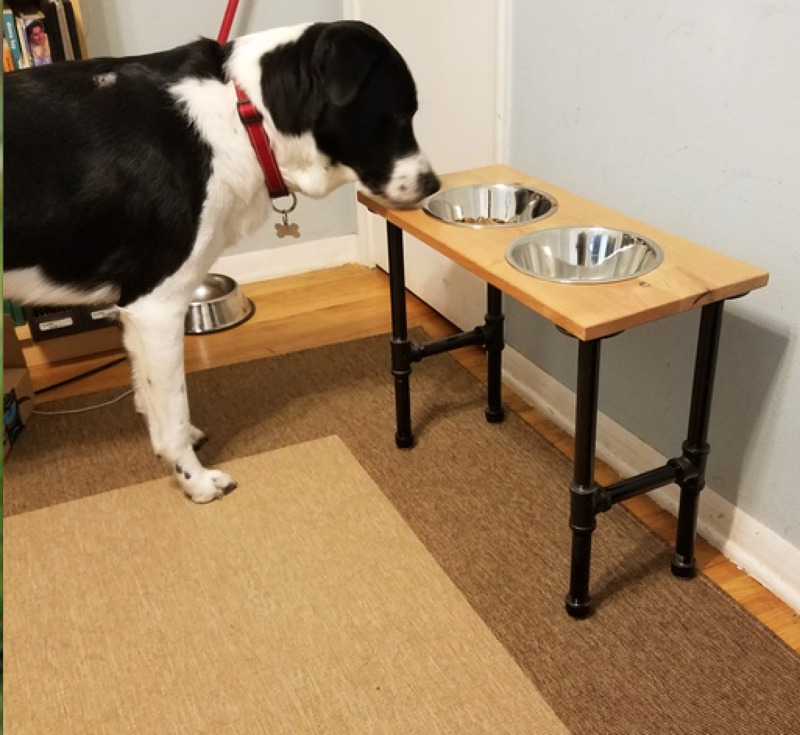 Dog Bowl