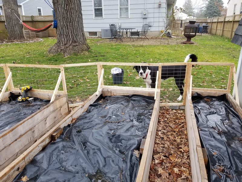 Garden Fence