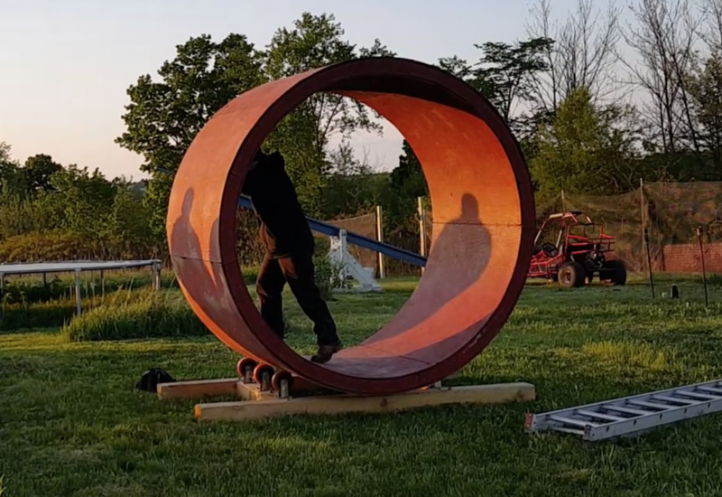 Human Hamster Wheel