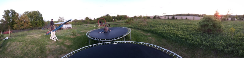 Human Hamster Wheel