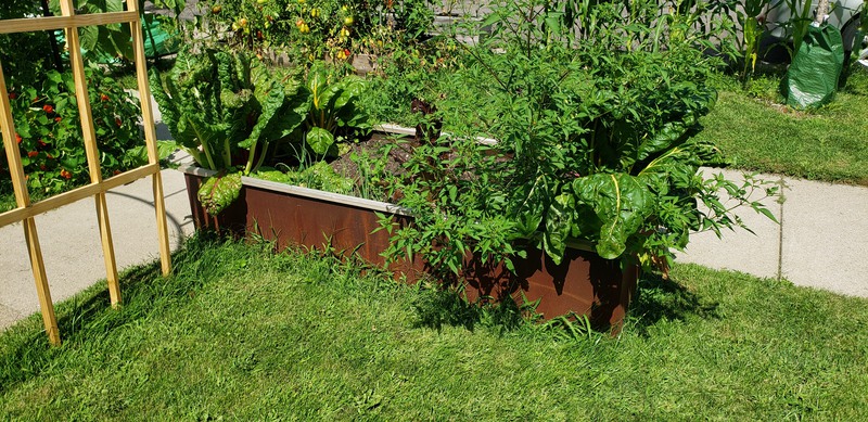 Garden Bed