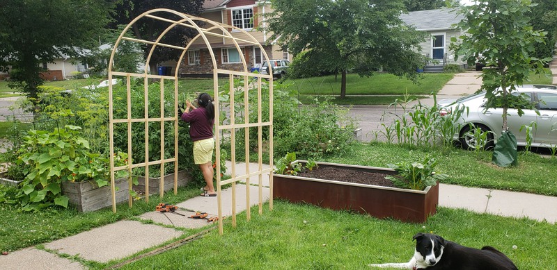 Garden Bed