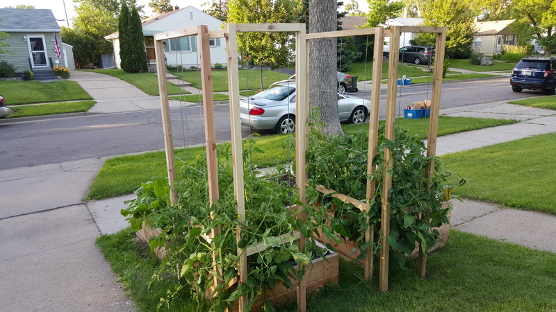 Raised Beds