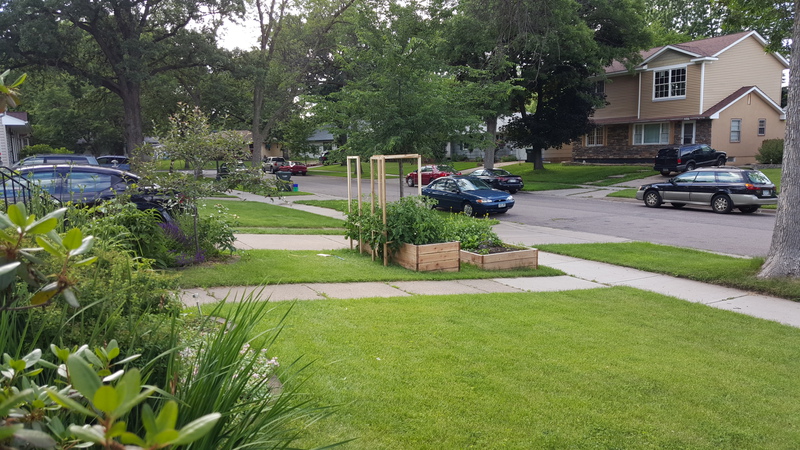 Raised Beds