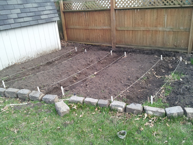 Raised Beds