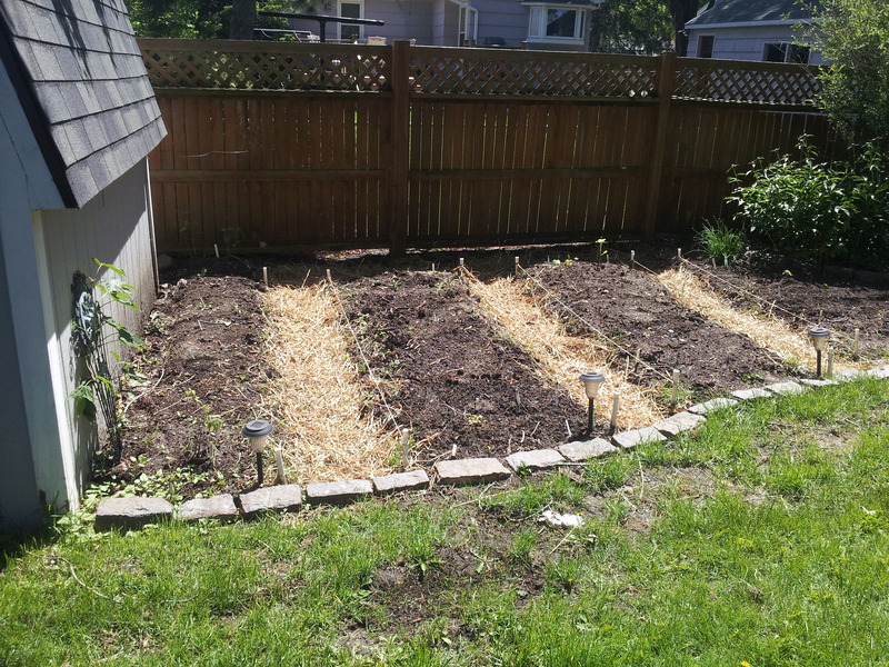 Raised Beds