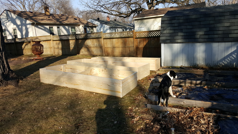 Raised Beds