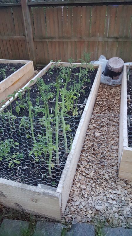 Raised Beds