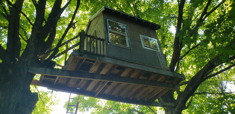 Treehouse